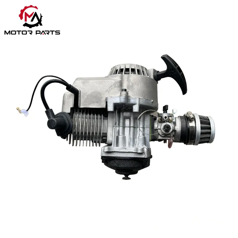 Motore motociclistico 49 cc con avviamento a strappo